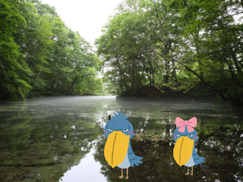 走れハシビロコウ！〜乾いた大地を救え〜